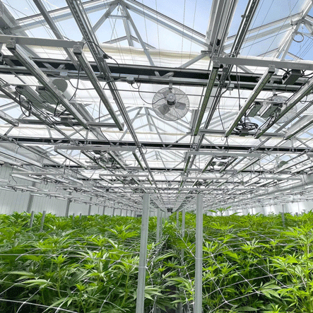 Cannabis Horticulture Class