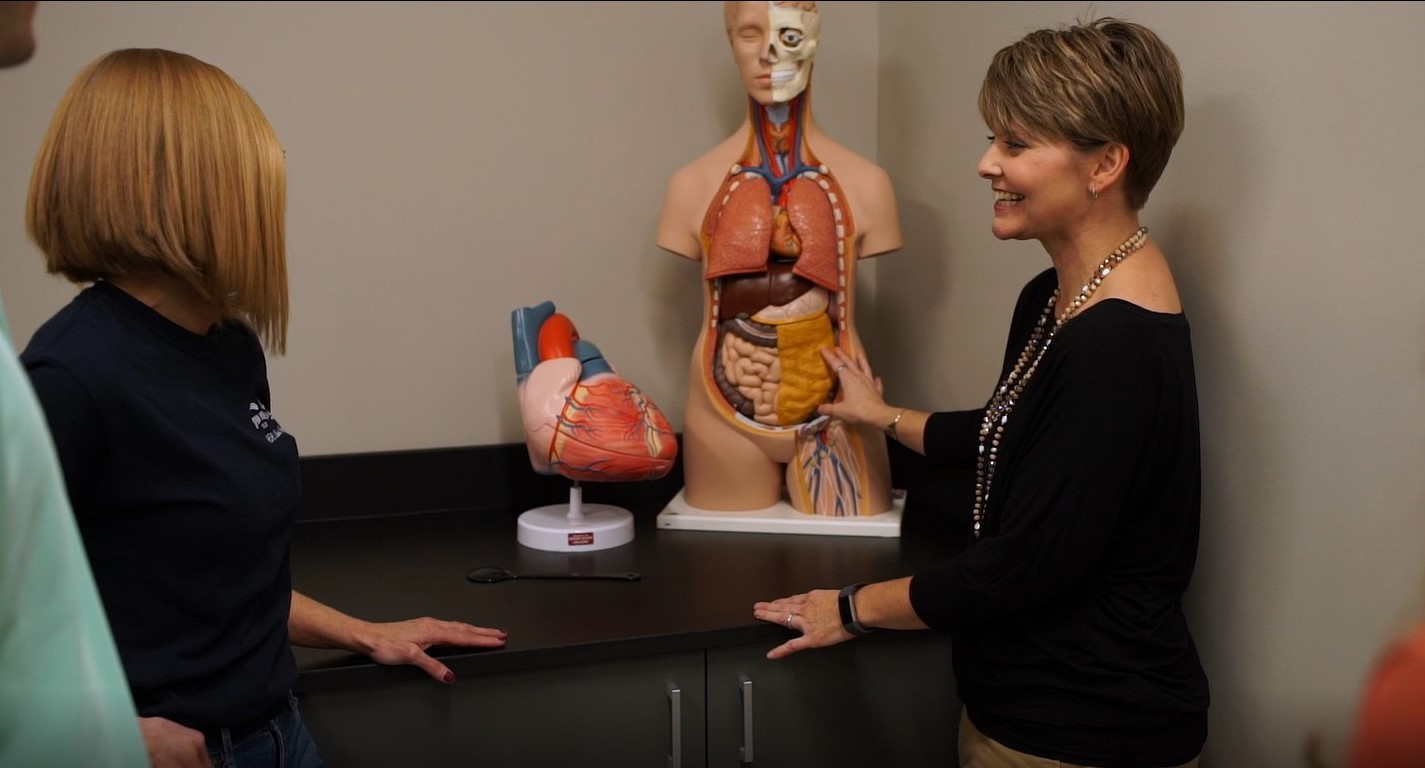 Teacher showing student a mannequin with major organs exposed in cross section 
