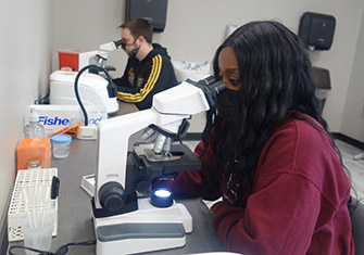 Two students working with microscopes