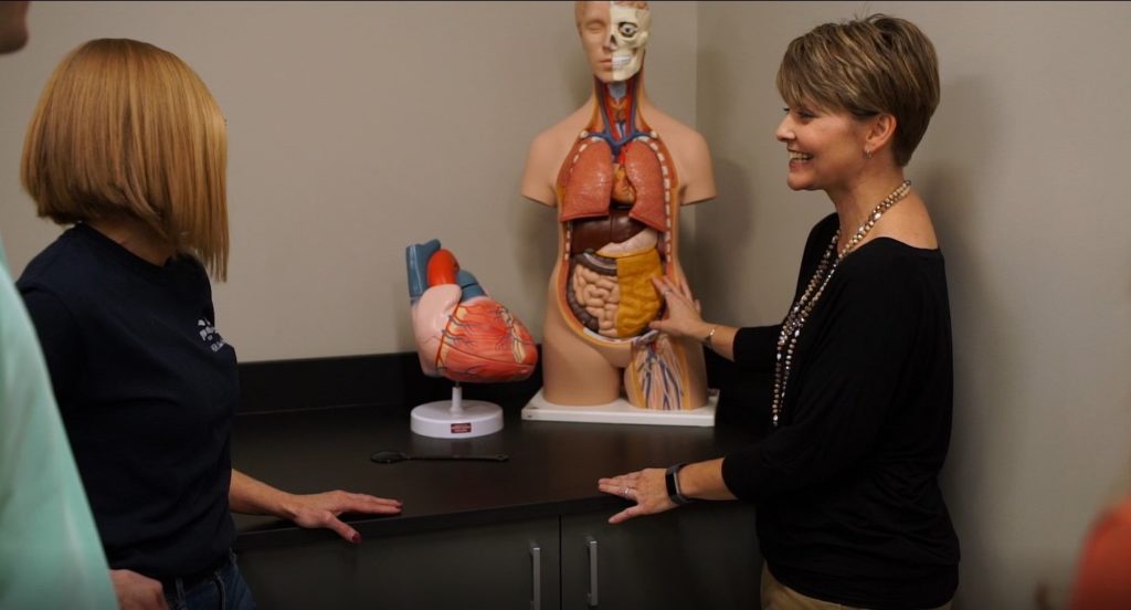 Teacher showing student a mannequin with major organs exposed in cross section