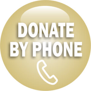 Donate by phone button/icon