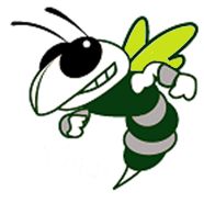 VIT High School logo
