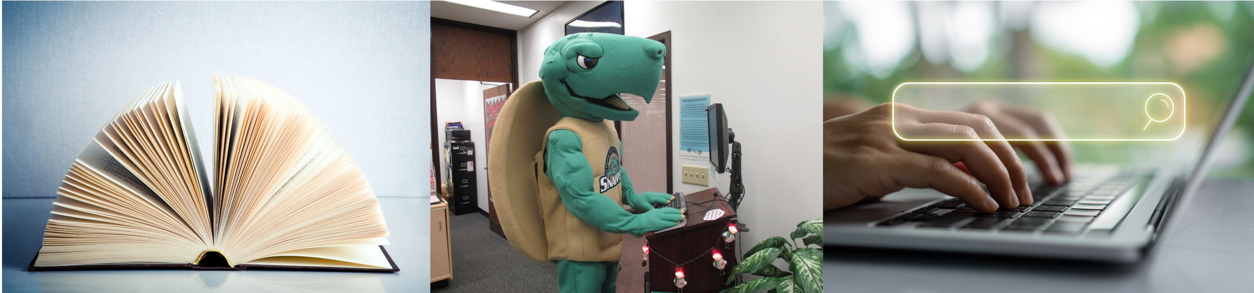 Montage of three images: a hard-bound book lying open with its pages in a fan, Snappers mascot, Sheldon typing at a computer keyboard, and close up of hands typing on a keyboard, with a search field embedded over the image